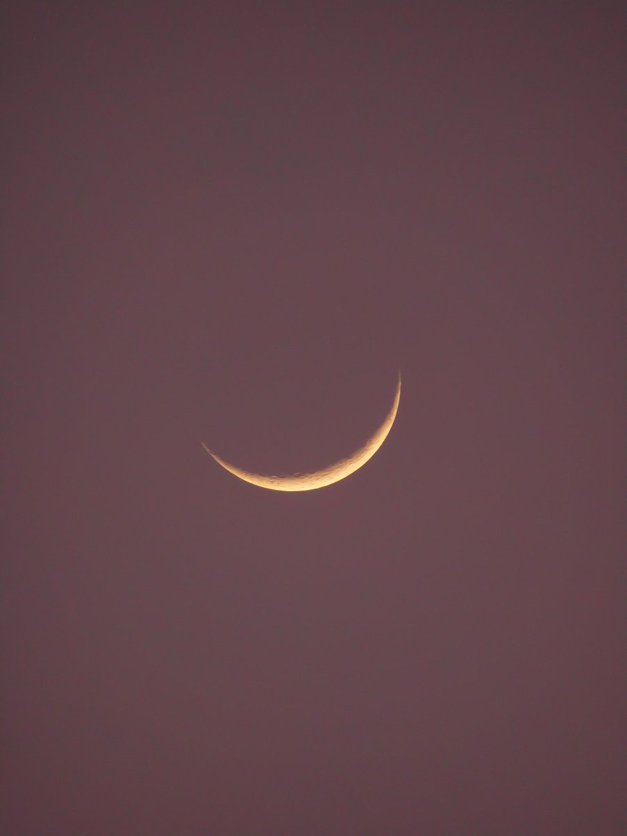 Cris_Anaut2's tweet photo. 🧡🌙 https://t.co/QAXNexjwbP