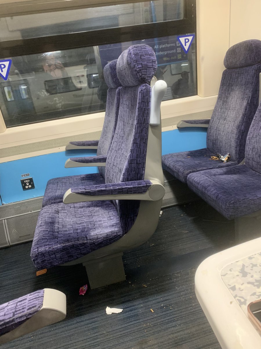 Little Blue Flamingo tweet media