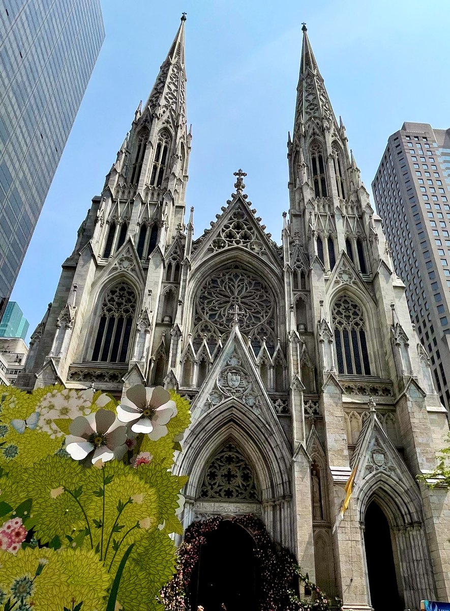 St Patrick’s Cathedral 🌿🌸🌱 #spring2023 #throwback