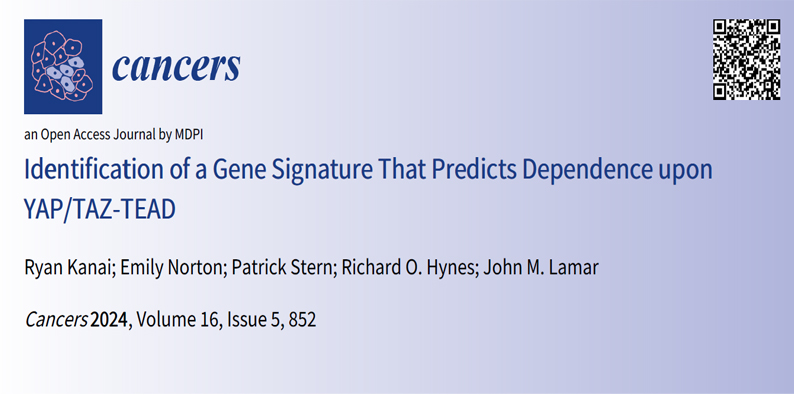 The Lamar Lab (@thelamarlab) on Twitter photo Paper is finally out in <a href="/Cancers_MDPI/">Cancers MDPI</a> ! We identified a YAP/TAZ gene signature that is upregulated in metastatic cancer cells with high YAP/TAZ activity. This signature can predict cancer cell dependence upon YAP/TAZ-TEAD. Great work <a href="/KanaiRyan/">Ryan Kanai</a> and Emily Norton! Paper is finally out in <a href="/Cancers_MDPI/">Cancers MDPI</a> ! We identified a YAP/TAZ gene signature that is upregulated in metastatic cancer cells with high YAP/TAZ activity. This signature can predict cancer cell dependence upon YAP/TAZ-TEAD. Great work <a href="/KanaiRyan/">Ryan Kanai</a> and Emily Norton!