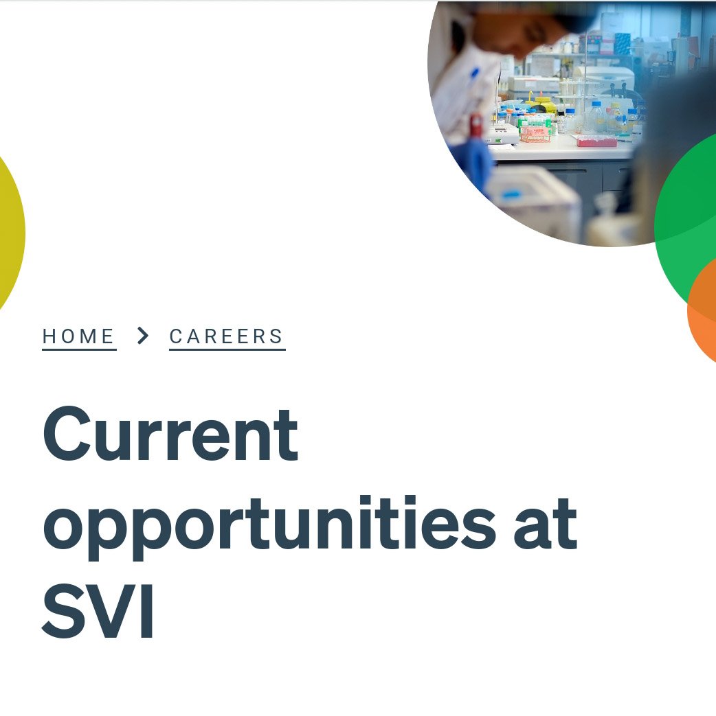 We are recruiting a post-doc and research assistant!  Come join us to work on developing therapeutics for the treatment of neurodegenerative diseases. svi.edu.au/careers/curren…