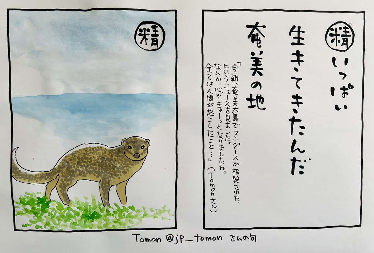 おはようございます

#夜廻り猫カルタ
ちょっと悲しい話でごめんなさいよ🙏
Tomon @jp_tomon さんの句です。
マングース、見たことあります。。

みんな!
マングースの仲間のみんな
なんとしても
ご無事で!! 