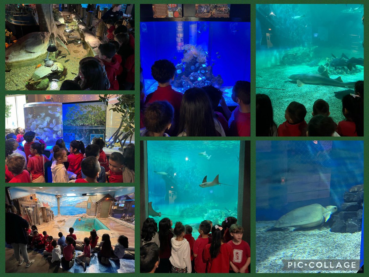 Carl Lawson tweet media