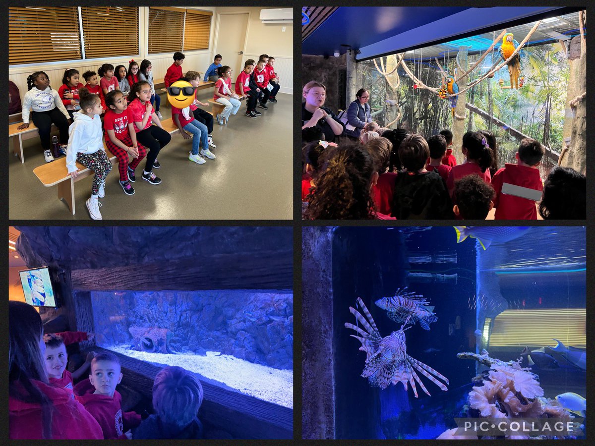 Carl Lawson tweet media