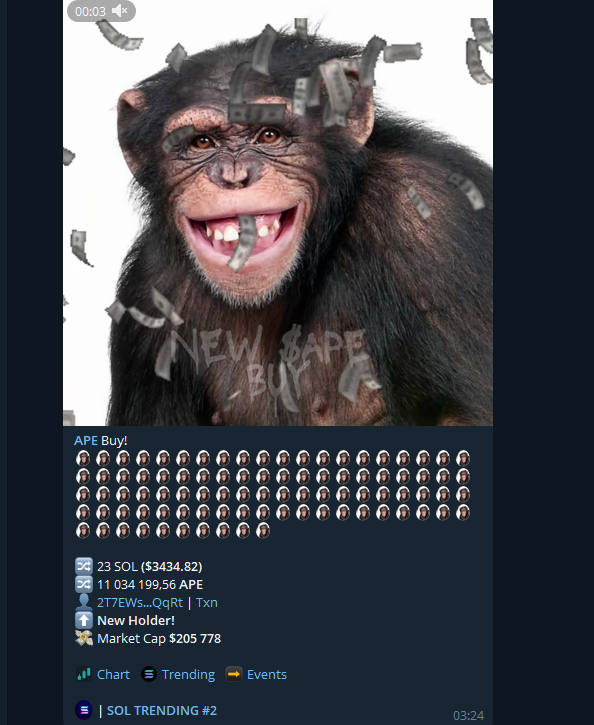 APE coin #SOLANA tweet media