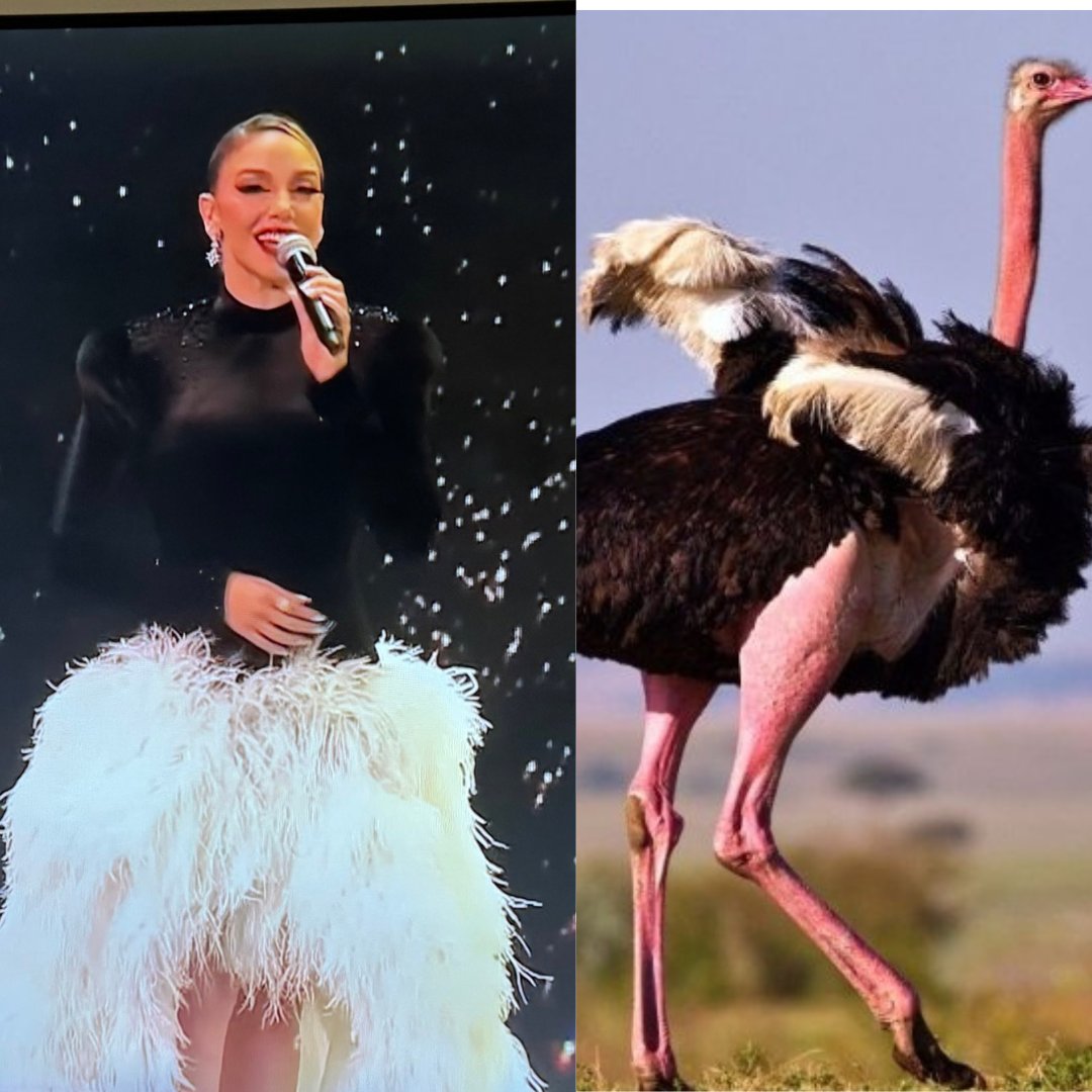 Thomas Comedy tweet media