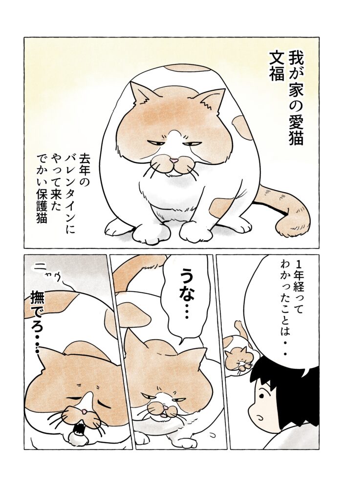 【3/13の特集】

【猫】猫と24時間寄り添ってみた!(作:逆襲)
https://t.co/ysP0d4Xkjp

愛猫と寄り添い続けたレポートです 