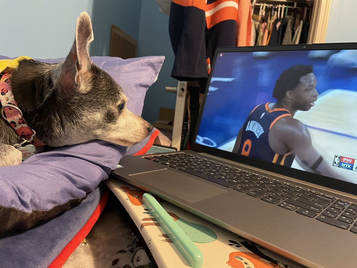 KathryneJDavis's tweet photo. Cutest @nyknicks fan https://t.co/Qk5RDLXKGe