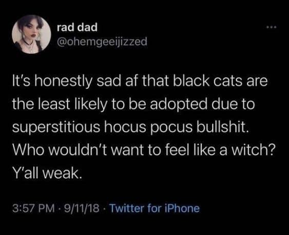 #BlackCats #rescueismyfavoritebreed