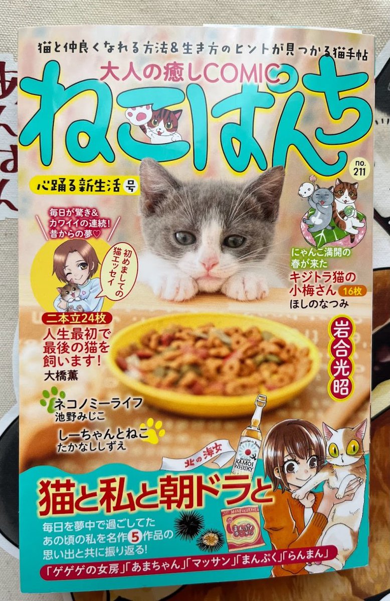 【宣伝】少年画報社さん「ねこぱんち」発売中🐈

「猫と私と朝ドラと」という特集で、
「らんまん」ファンの夫婦と猫たちのお話
「君と一緒なら」16p+朝ドラエッセイ1p
掲載されています。

大好きな「らんまん」のテーマで描けて嬉しいです✨
ちょっと大人っぽいお話かな❓
ぜひ読んでください😊 