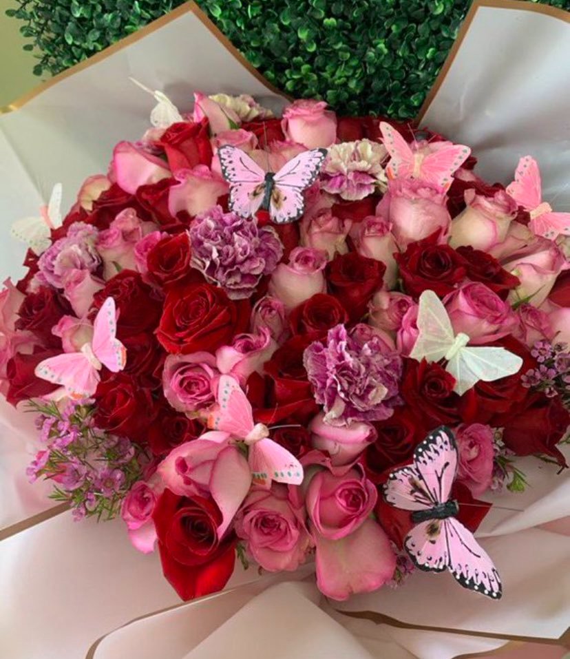 aestheticspost_'s tweet photo. roses with butterflies https://t.co/6fZJrRBmpY