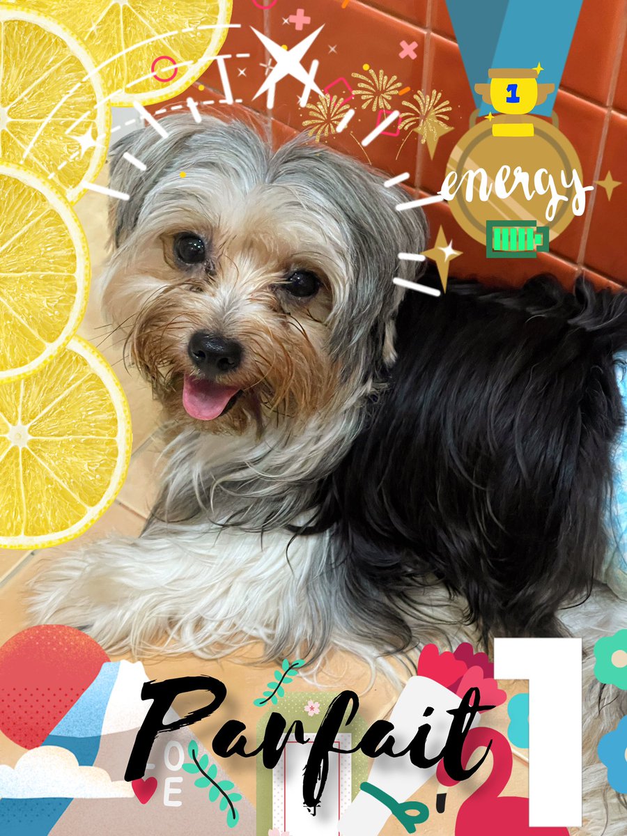 mathaster's tweet image. แกงซ์พาเฟต์