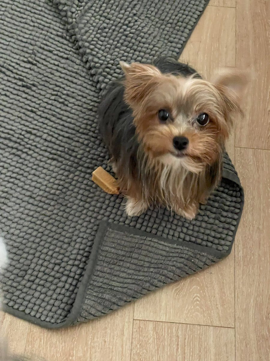 mathaster's tweet image. แกงซ์พาเฟต์