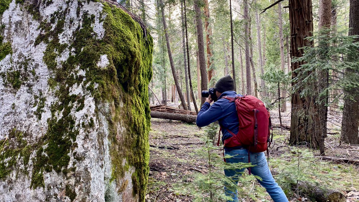 #Yosemite with @CraigKohlruss over the weekend (3/9 + 3/10) ☀️ Spring is coming to @YosemiteNPS 🏞️