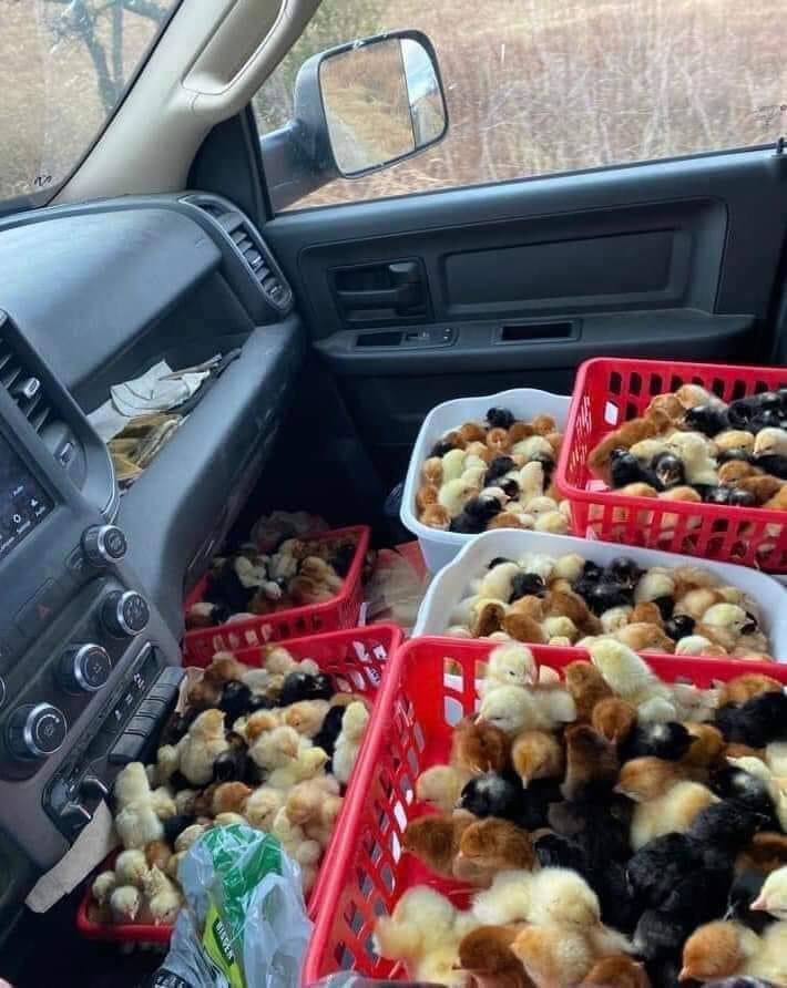 Hop on in you can just move those over