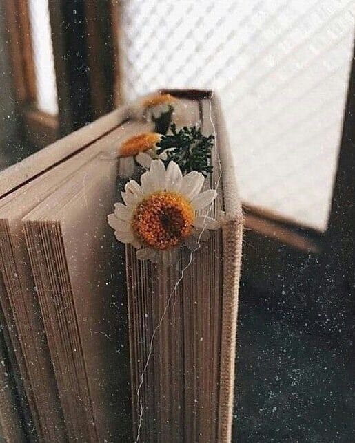 _Zeynep_______'s tweet photo. Sakin bir ev,
kendi yetiştirdiğimiz çiçekler,
ilham verecek kitaplar,
sevilmeye değer bir kalp,
acı veya pişmanlık vermeyen masum eğlenceler,
gerçeğe bağlılık ve tutku,
güven, umut ve sevgi dolu bir yürek,
Dünya’nın bütün zevklerinden daha değerlidir... 🍃 https://t.co/aWs8ofCLl5