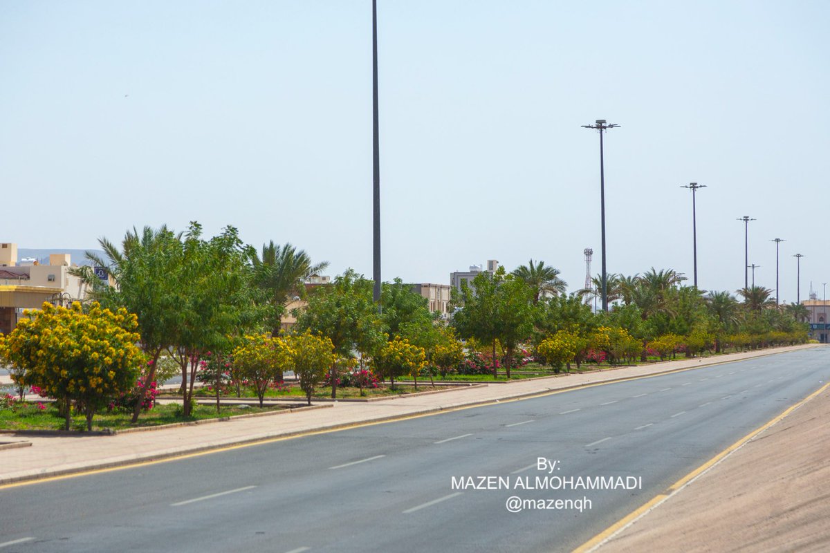 mazenqh's tweet photo. شُكرًا شُكرًا🍃
@AmanaAlmadinah 
وبلدية العقيق #المدينة_المنورة على جماليات وتشجير وتنوع الشتلات شارع الملك سعود وجعله متنفس 
 مزاولة الرياضة المشي 
@majedhogail 
@fahadbuliheshi 
@saudimomrah 
@imarat_almadina 
@amana_cs https://t.co/RKj0Ga8C29