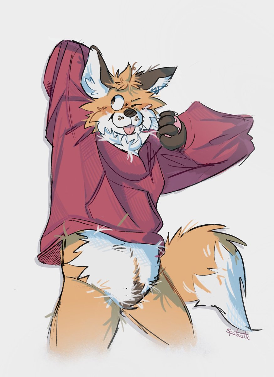 Fox tummy leak