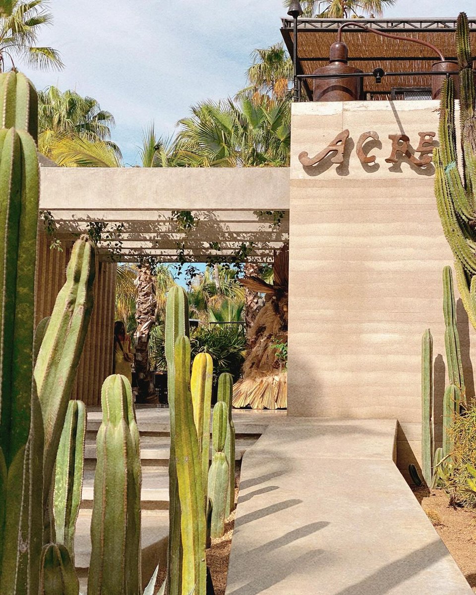 We were gonna make a cactus joke, but what's the point? 🌵🤪 <a href="/hannah/">Hannah</a>.rankin edited this lovely image using 100% of our Marrakesh filter and 50% of Parisian, both from the Jetsetter pack #AColorStory