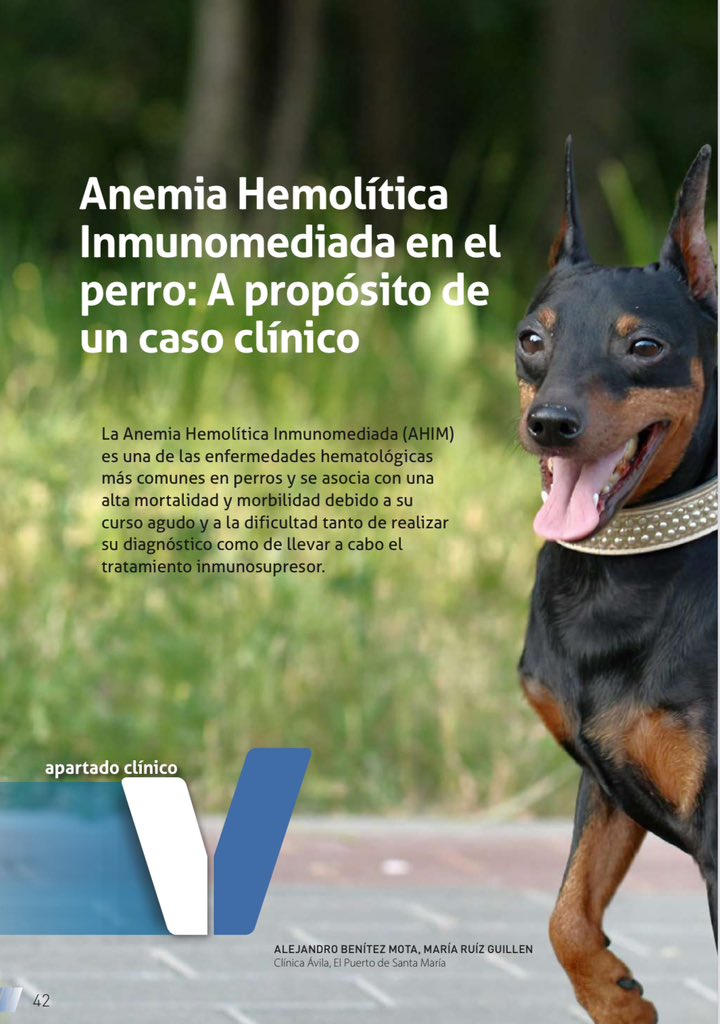 alebenitez29's tweet photo. Nuevo artículo disponible en la revista del Colegio de Veterinarios de Badajoz. 
@Colvetba 
https://t.co/Im0uhwqwVm https://t.co/157OIbZ3M9