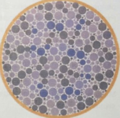 CHIPCHIPGAME🏆Crypto Poker tweet media