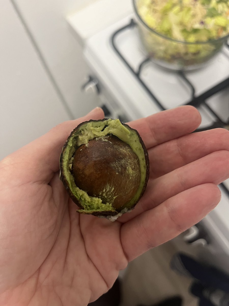 California friends … this is a NY avocado..