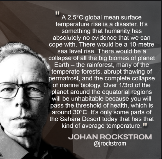 At 2.5 'It's something that humanity has absolutely no evidence we can cope with.' JOHAN ROCKSTROM @jrockstrom jonathonporritt.com/mainstream-cli… #HellInAHandbasket 🌎 #ClimateEmergency