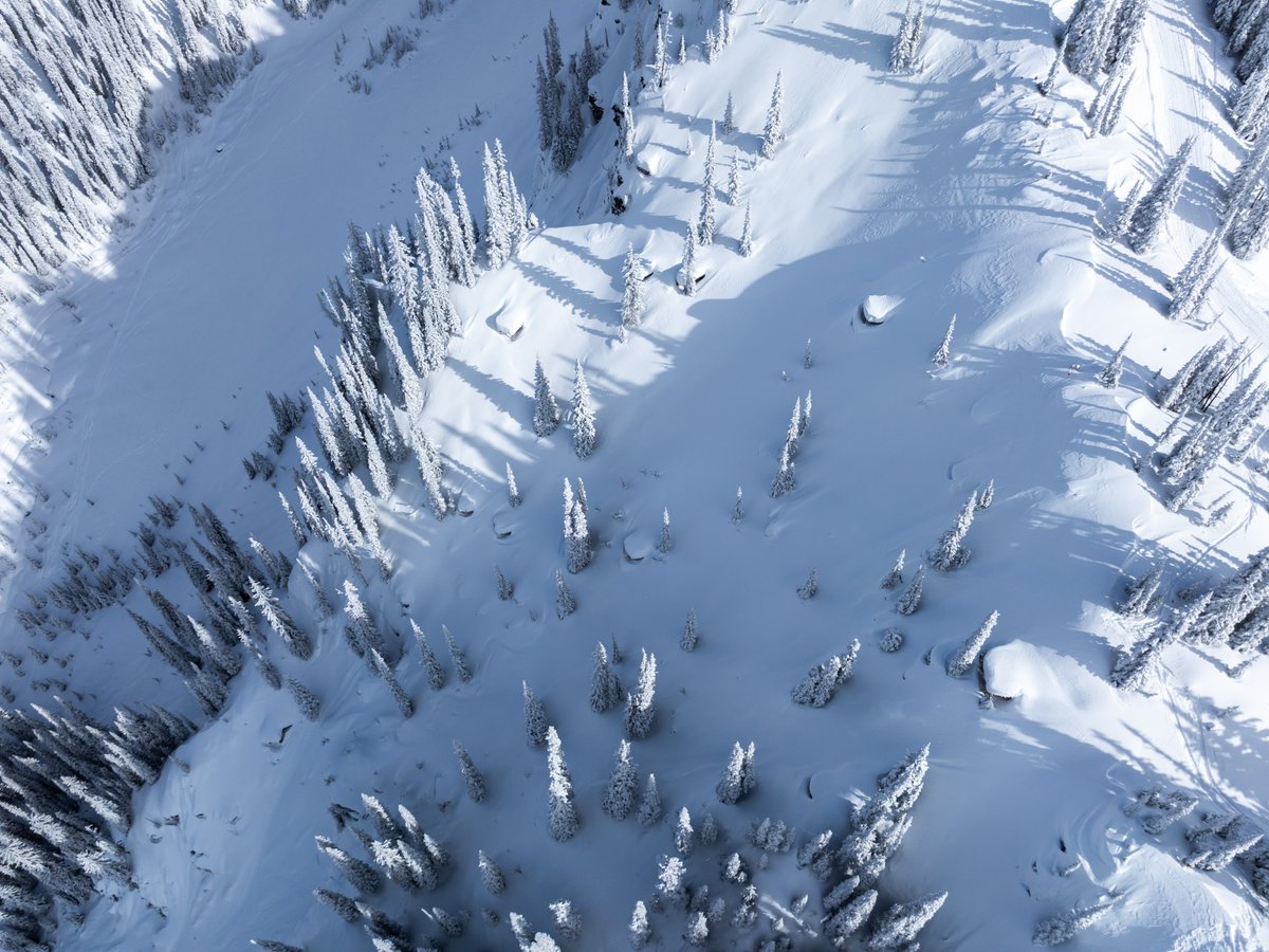 🚨 The Yeti Natural Selection at Revelstoke Mountain Resort is officially going down tomorrow, March 13th at 12pm PST. 👊
24 of the world’s best riders will drop into Montana Bowl in the ultimate head-to-head backcountry snowboard competition.

📷 @tompoolephotography