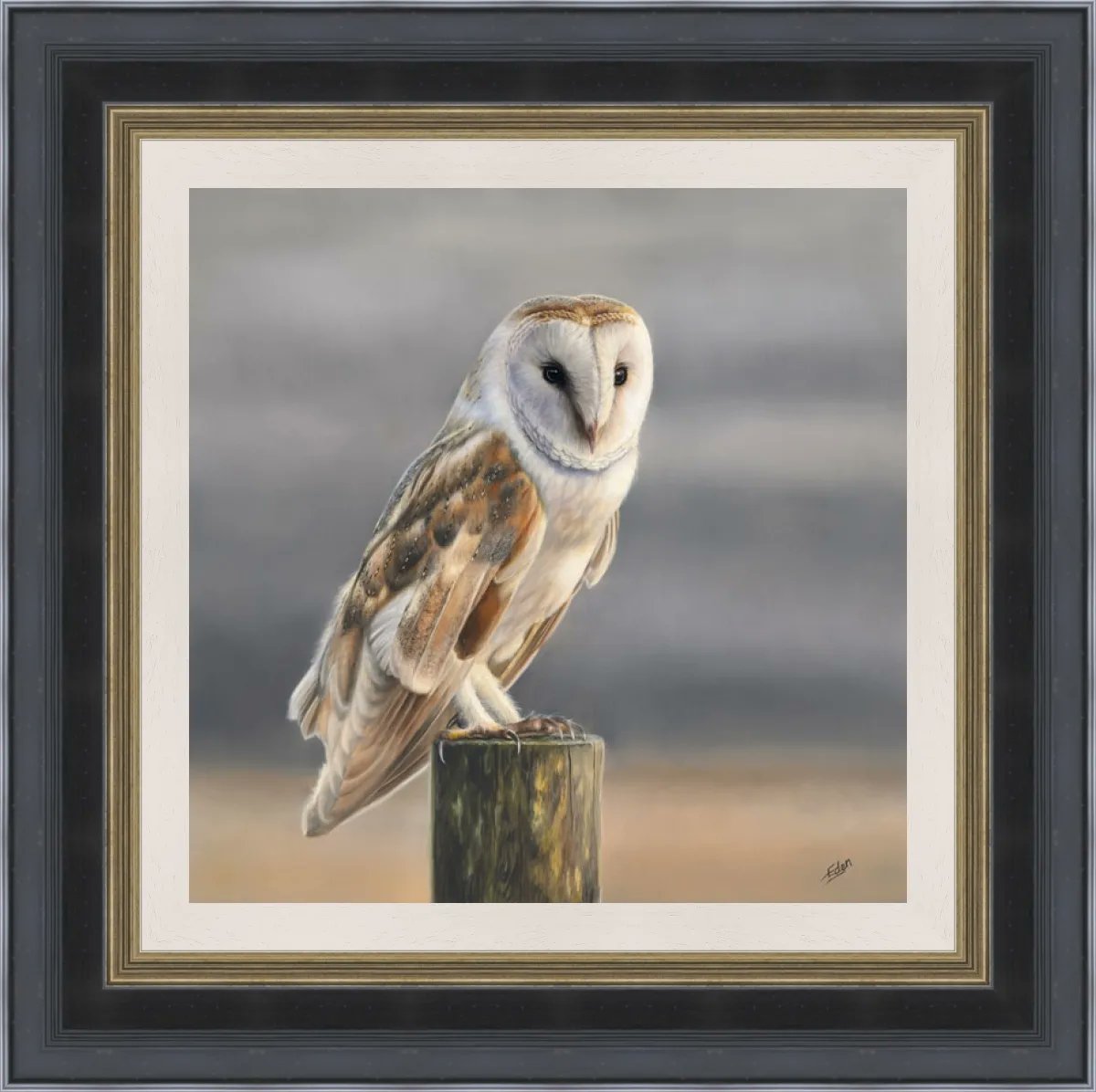 My owl painting 'Serenity' has now been turned into a beautiful varnished canvas print and is available in a choice of two frames. This is a limited edition series of only 95 copies and forms part of a collection of 4 pieces.

#owl #barnowl #owlpainting #ukwildlife #wildlifeart