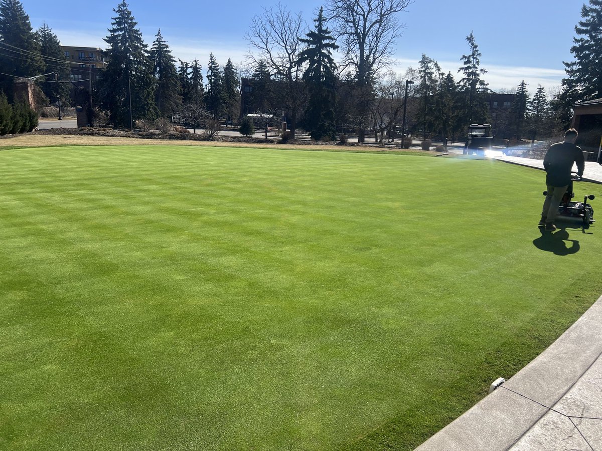 tcturf's tweet image. Another productive day!