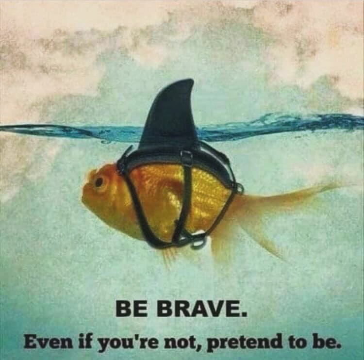 Some days you just need a little reminder to step outside of your comfort zone. To do something brave. Today’s #BeThankful is for that happening today. Watch this space 👀