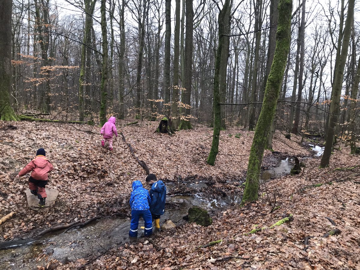 „I love places where there are crowds of trees“ - Nitin Namdeo
<a href="/FIS_School/">Frankfurt Int School</a> #OutdoorEducation #EarlyYears #Forest