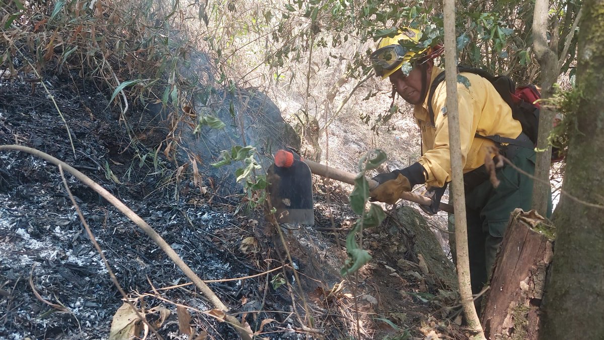 #Sololá En seguimiento al incendio forestal registrado en el volcán Tolimán; instituciones del Sistema CONRED reportan el 100% de control sobre el siniestro.

Créditos: Manlio Lec, Delegado Departamental de CONRED
