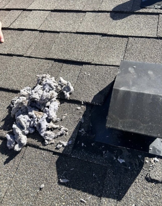 CallLongToday's tweet photo. Check out this picture of a dryer vent we just cleaned out. Does your dryer vent need cleaning? Call us today for pricing! 

#dryervent #dryer #hvac #heating #air https://t.co/ja6Sj6zFjH