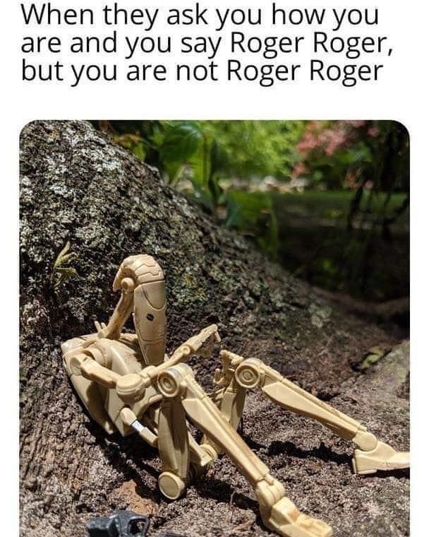 Star Wars Culture tweet media