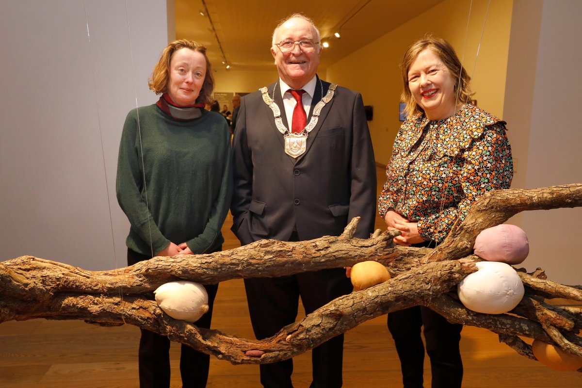 dlr Arts Office tweet media