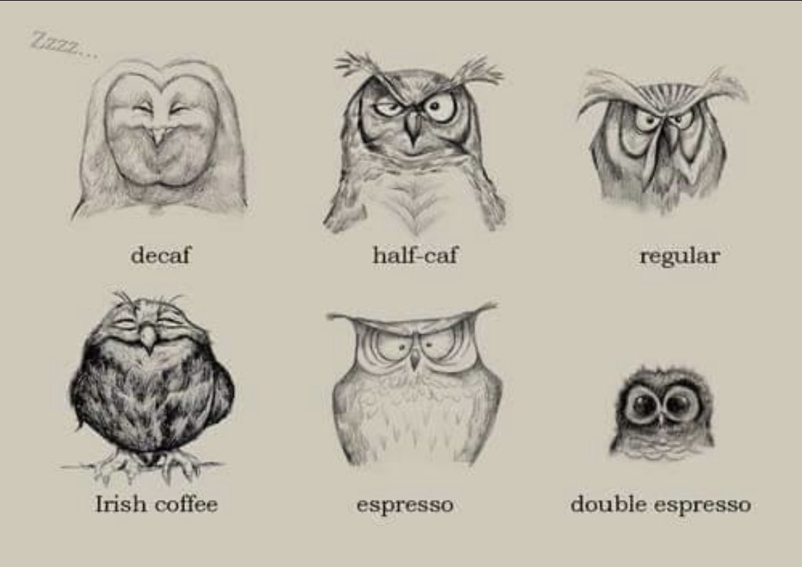 Saw this and immediately thought of <a href="/DawnMannix/">Dawn Venosa Mannix</a> #caffinated #owls