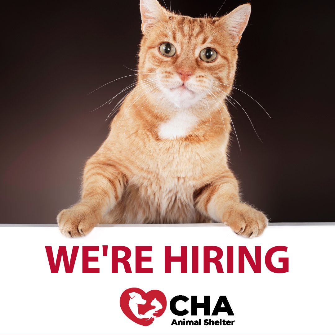 We're searching for the next person to join our small but mighty staff as an Intake Assistant. View details at chaanimalshelter.org/open-positions/ #chaanimalshelter
