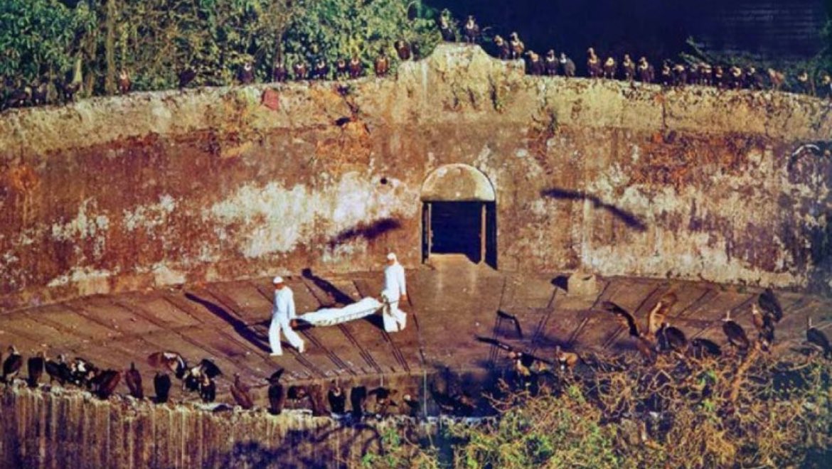 MorbidKnowledge's tweet photo. Vultures waiting to feed on a human corpse in Mumbai's Tower of Silence. Zoroastrians leave their dead exposed in order to decompose naturally. https://t.co/5HT2cDjs5D