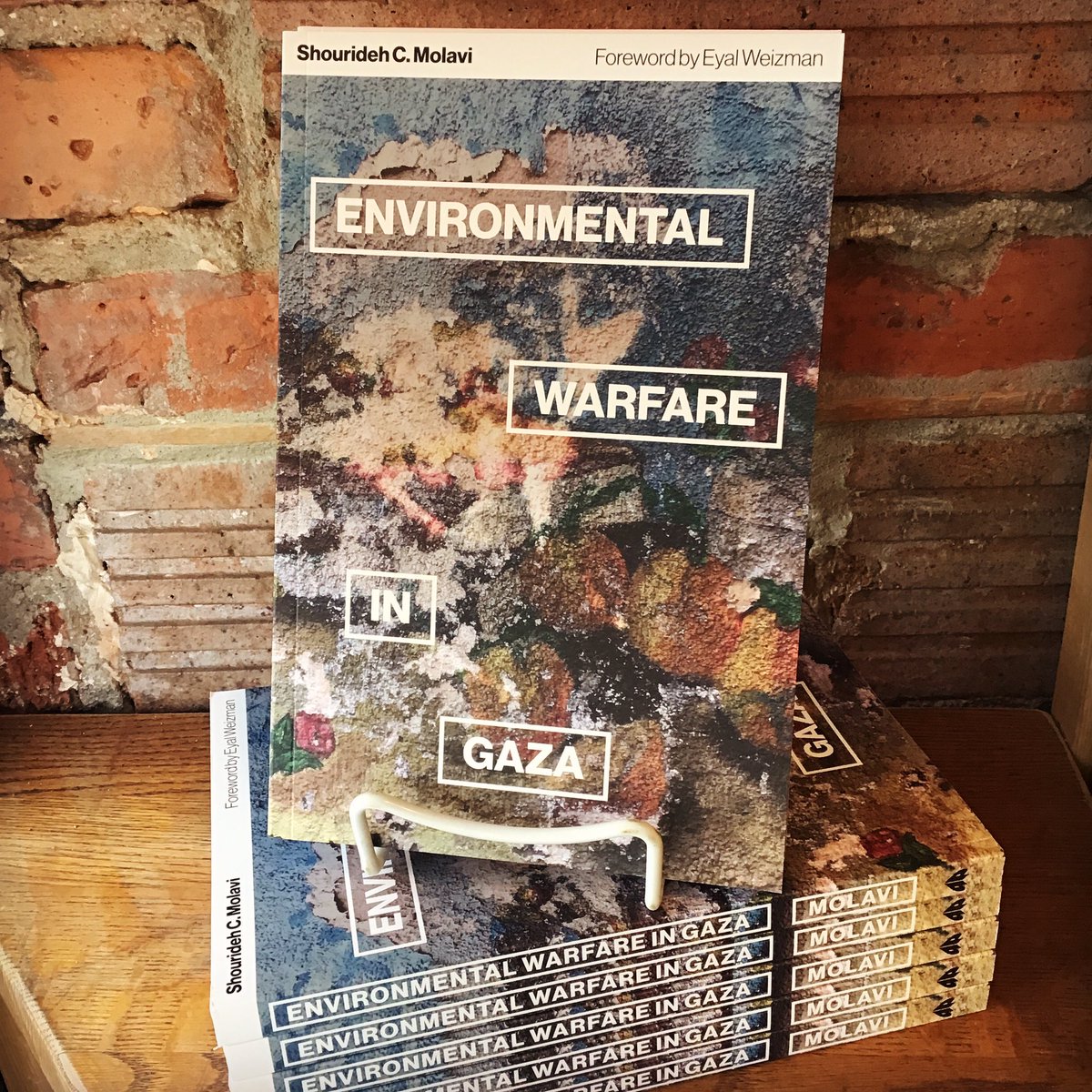 “This book is a vivid document of this latest stage of Israeli warfare, including original maps, images, and visualizations which deepen our understanding of its environmental and human impact.” burningbooks.com/products/envir…