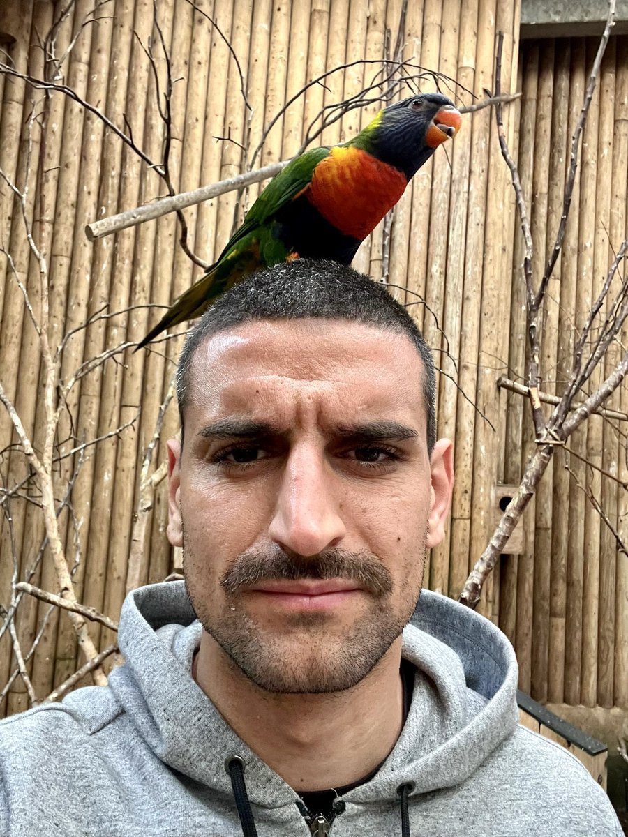 Bugiel appreciation post #AFCW
This man has been nothing but class these last couple of games.