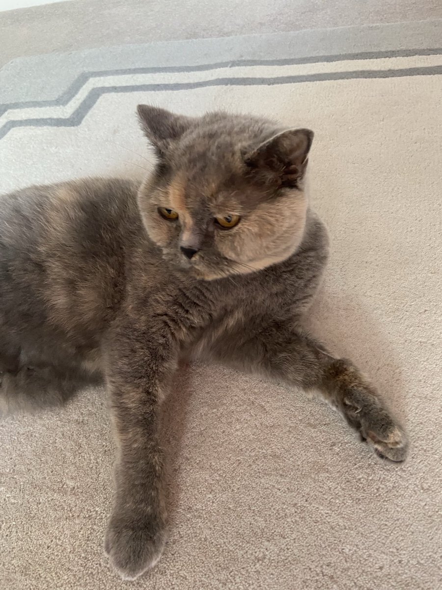 Jane Guy tweet media