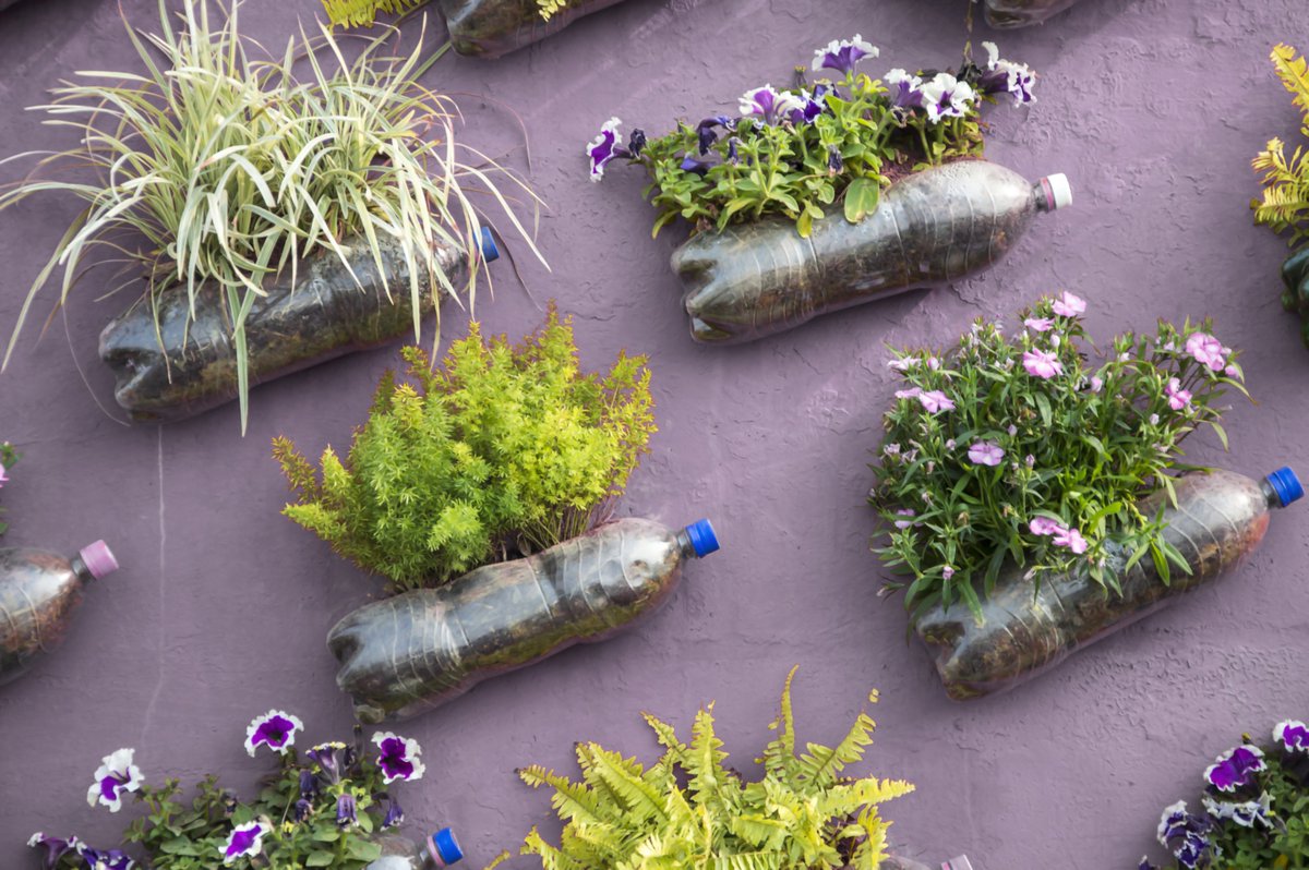 It's #NationalPlantaFlowerDay! 🌼🌺 Planting helps retain groundwater, adds oxygen to the soil, and promotes a healthy ecosystem. Begin your garden today! 🌱 To learn more about gardening techniques, visit SmartGardening.com