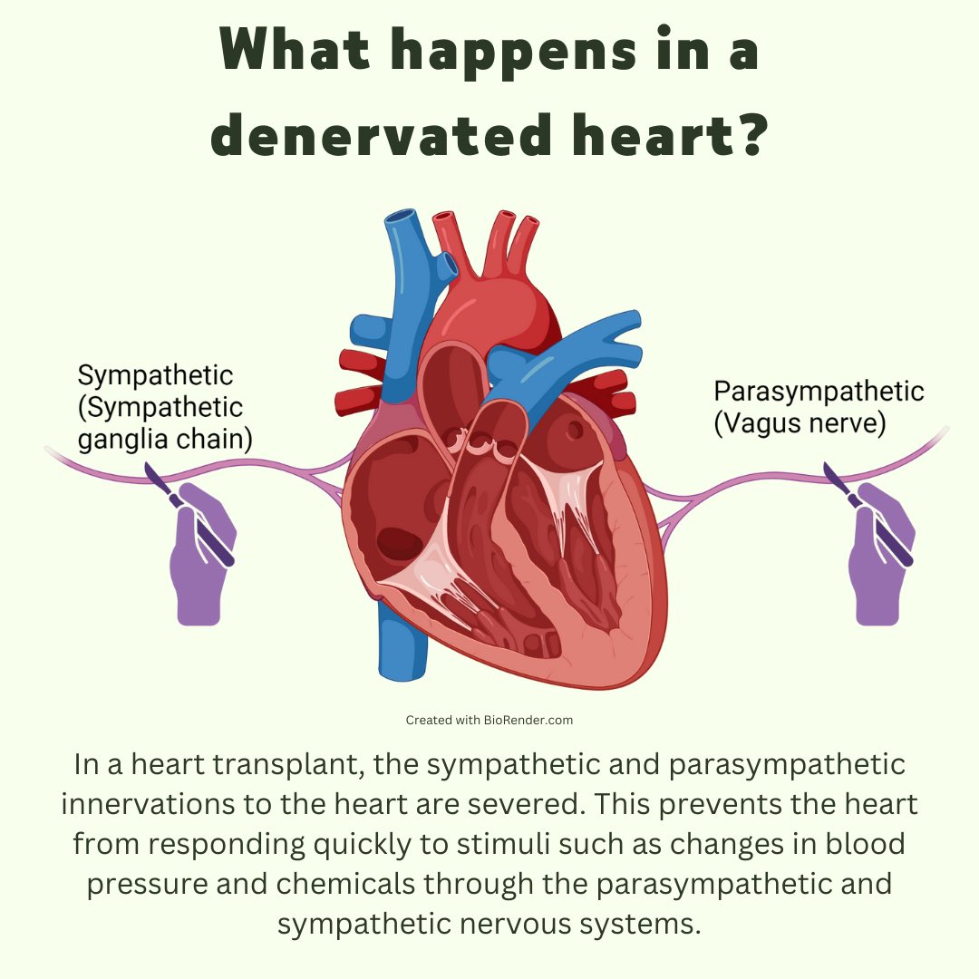 ACCP Txp PRN tweet media