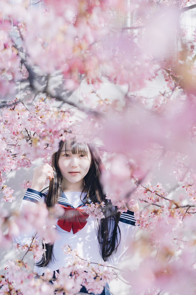 sparkle…🌸✨ @ch1san_ 
#ファインダー越しの私の世界 #河津桜 #制服 #ポートレート #portrait #photo #photography