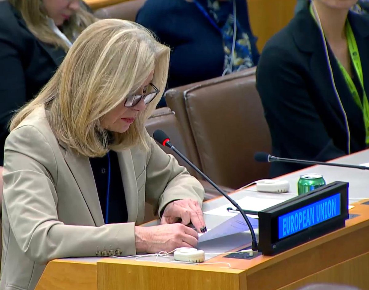 Collaboration & gender equality are key to security challenges. ~🇪🇺@StellaRonner on leveraging synergies between the #CEDAW & the Women, Peace & Security #WPS Framework at today's #UN Security Council Arria meeting #EUatCSW68 More➡️eeas.europa.eu/delegations/un…