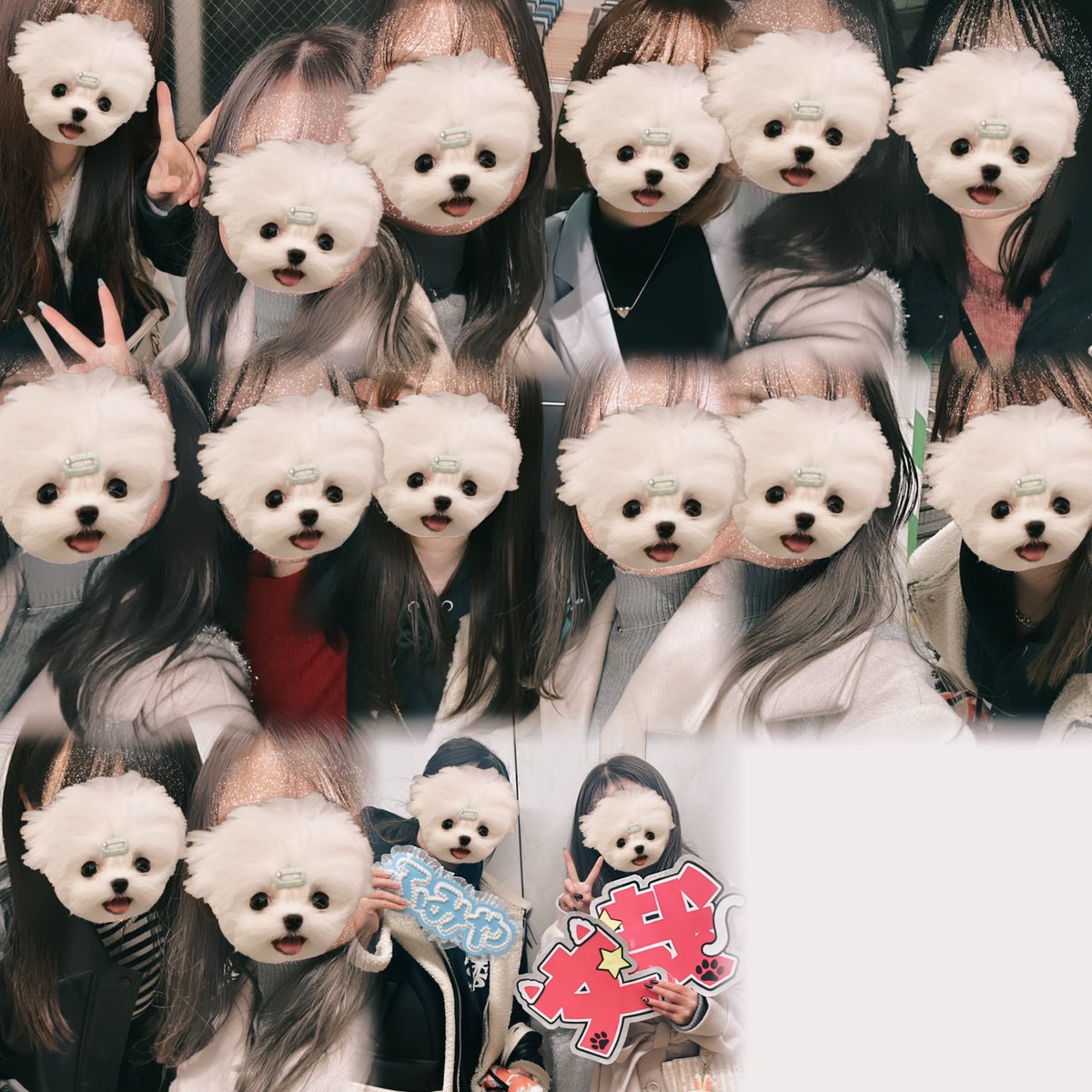 fumikoo0's tweet photo. 会ってくれた方ありがとうございました！！
会えなかった方つぎは絶対会いましょт т
めちゃバタバタしてたのにたくさんの人に会えて嬉しすぎたぁ🤭みんな可愛くてさもう大好き！
お菓子､ソンムルくれた方もほんとにありがとうございます！૮ .  ̫ . ა♡ https://t.co/f1vGjjvkIr