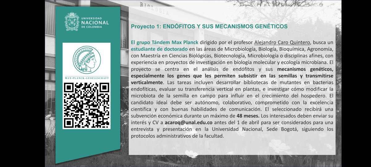 Buscamos dos posiciones estudiantes de Doctorado para el desarrollo y uso de herramientas de modificación genética en microorganismos. Un proyecto asociado al estudio del Holobionte  en plantas y el otro para bioprospección de celulasas. 🦠 🧬