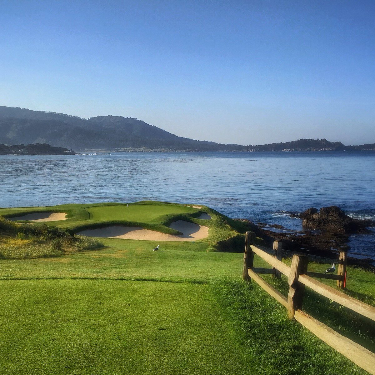 Matt Ginella tweet media