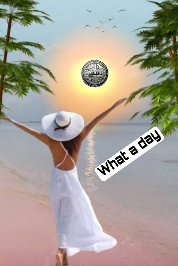 CheChe_O2's tweet photo. In summary, the ongoing node sale for https://t.co/r6fu9Dd9cM offers individuals opportunity to invest in NFT Licenced Nodes, thus providing unlimited access to the platform's features, potential growth opportunities and the chance to support innovation. https://t.co/GZp3E9bpsp